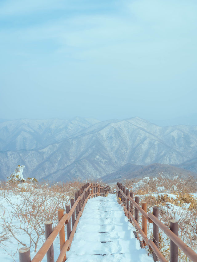 설경에 뒤덮힌 아름다운 이곳 “덕유산”