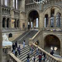 The Natural History Museum