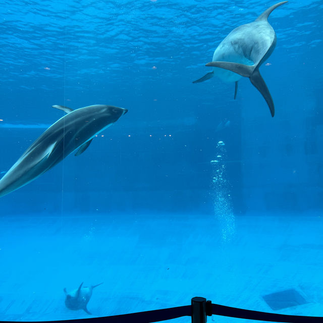 Port of Nagoya Aquarium 