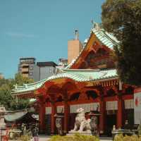「尋找靈感與寧靜之地：來宮神社」
