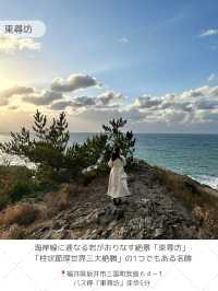 【福井】写真映えスポットからご当地グルメまで✨福井県でやりたいことをまとめたよ✍