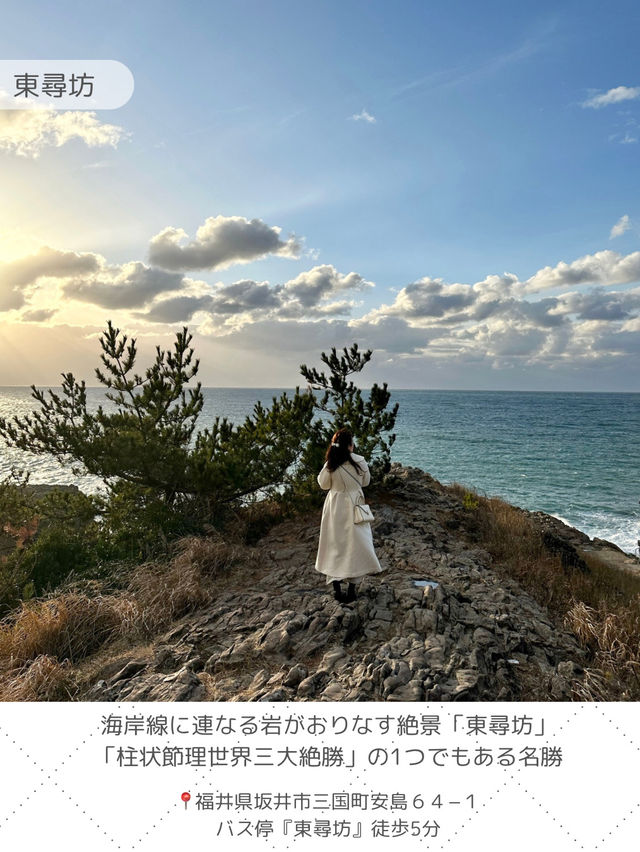 【福井】写真映えスポットからご当地グルメまで✨福井県でやりたいことをまとめたよ✍