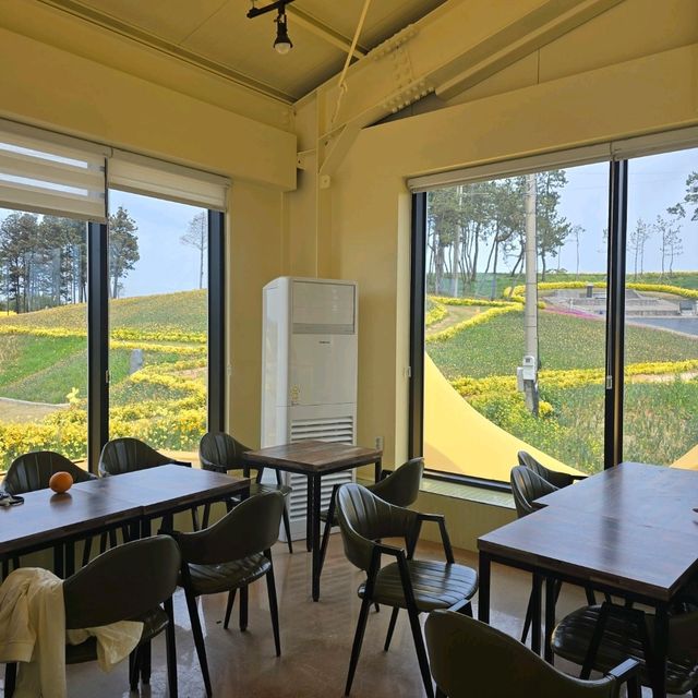 선도 수선화섬에서 감상하는 노랑노랑한 카페