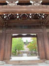 【京都観光】可愛いアヒルがお出迎え♡花玉手水に癒される寺院