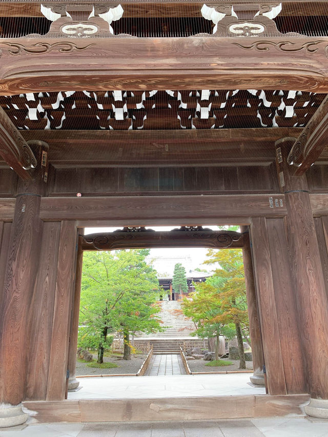 【京都観光】可愛いアヒルがお出迎え♡花玉手水に癒される寺院