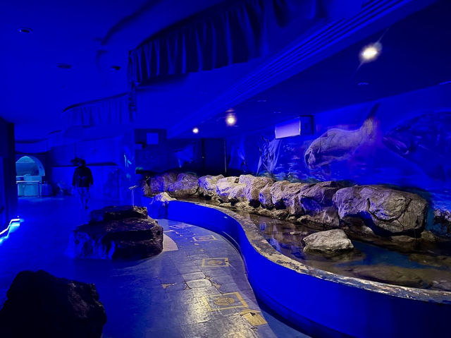 Waghor Aquarium