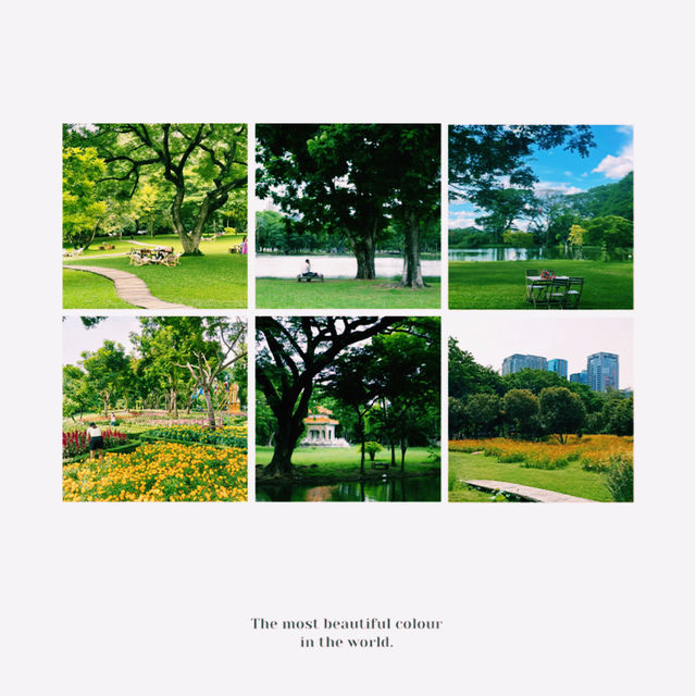 武吉巴督自然公園～城市綠洲