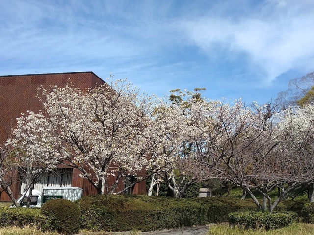 Pretty Maizuru Park