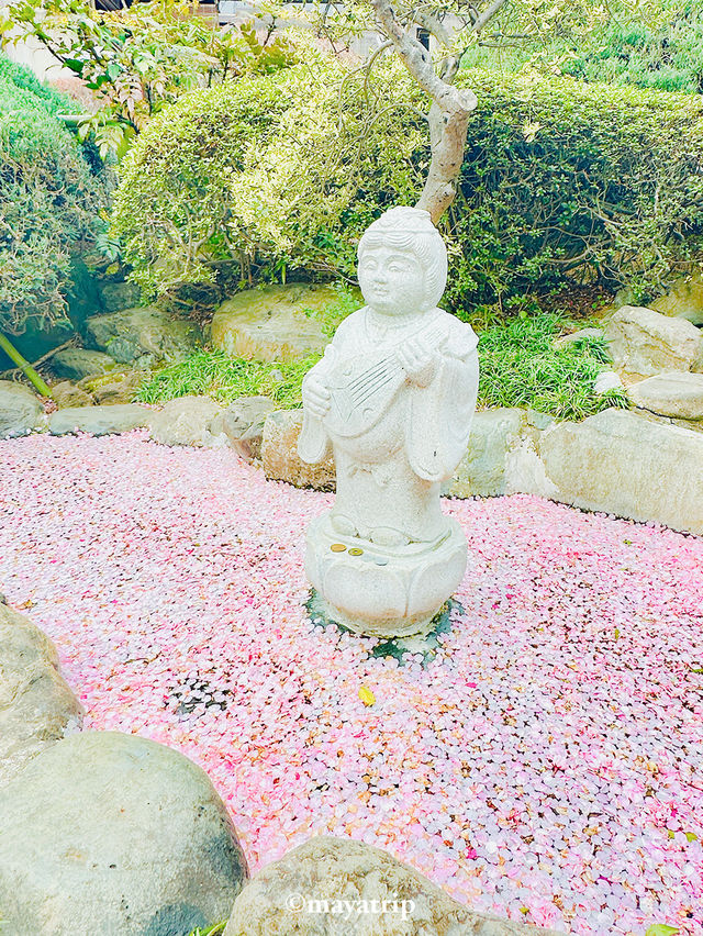 【埼玉】密蔵院に咲く濃いピンクの桜
