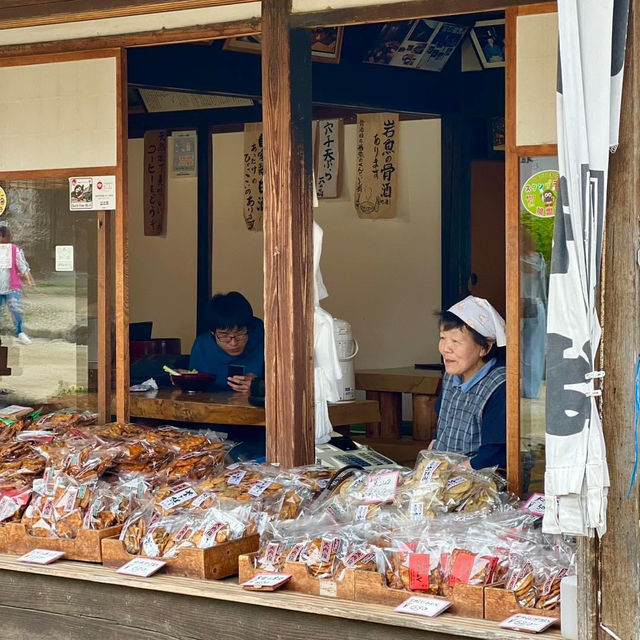 下野街道大內宿櫻花