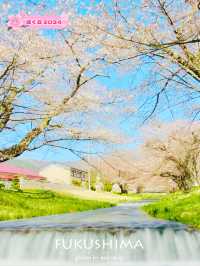【福島】川のせせらぎと桜のトンネルと磐梯山も