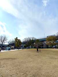 東京　東京観光　墨田区そよ風公園と東京スカイツリーのコラボは最高だぞ！