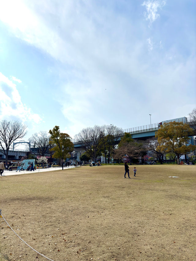 東京　東京観光　墨田区そよ風公園と東京スカイツリーのコラボは最高だぞ！