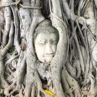 วัดมหาธาตุ อยุธยา เมืองเก่ามรดกโลก