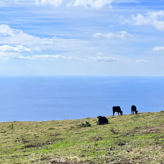 【福岡景點】玄界島：海岸線壯麗