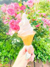  【神奈川】港の見える丘公園のつるばらアーチ