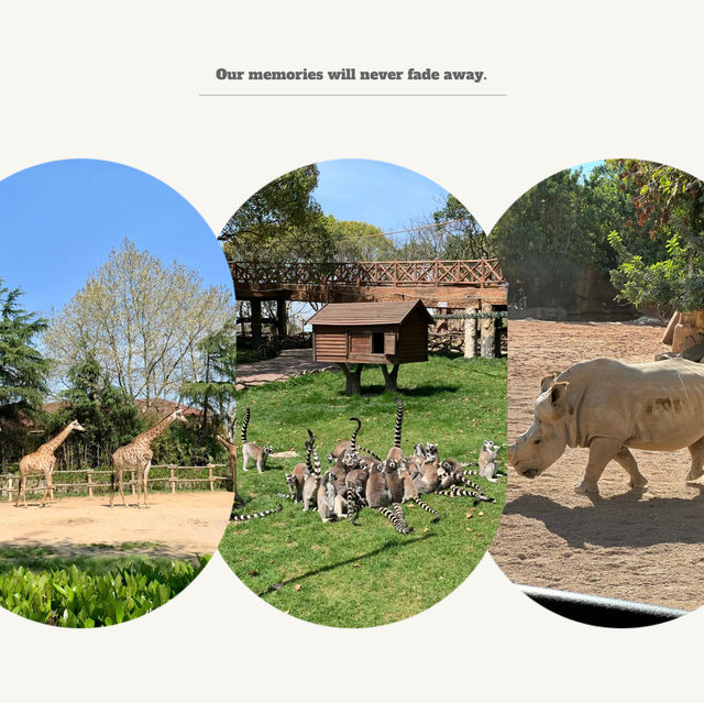 足立區生物園：多彩動物體驗