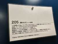 神奈川・平塚。今日の部屋のテーマは"雪の女王''『miss morgan Hotel（ミス・モーガンホテル）』