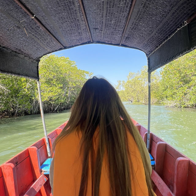 เที่ยววนอุทยานปราณบุรี ดูป่าชายเลน