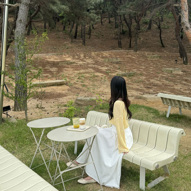부모님이 무척이나 좋아하셨던 힐링 감성 포워드