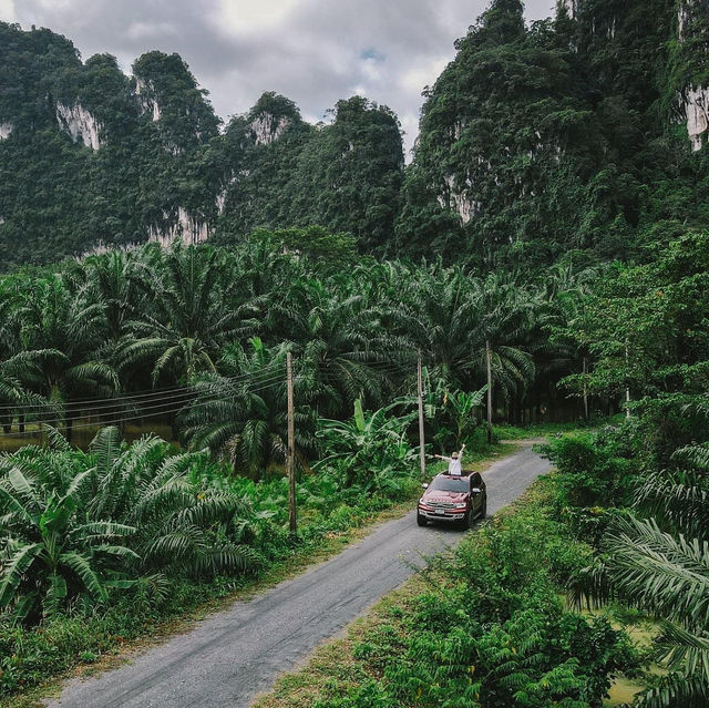 ซ่อนตัวกลางเขาสก our Jungle house