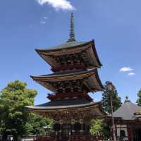 #วัดนาริตะ #Narita #Naritasan 