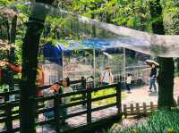 Jinyangho Zoo