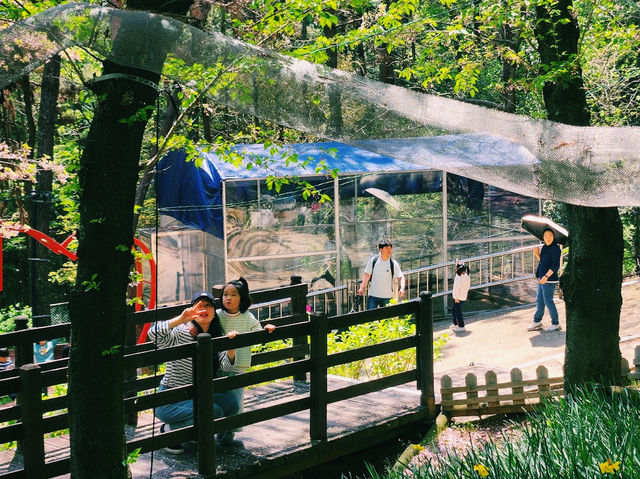 Jinyangho Zoo