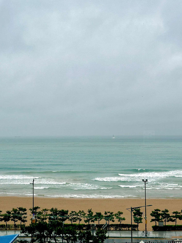 🏠해운대 단체펜션 해운대 카이브펜션 부산펜션