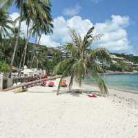 MELATI BEACH SAMUI | ที่พักริมหาดสมุย