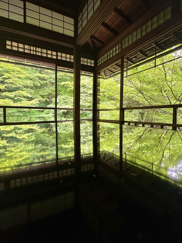 〜京都府〜暑くない！むしろ涼しい絶景🌱青紅葉のリフレクション