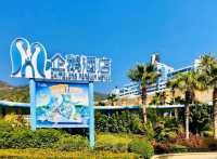 🐧 Stay at Chimelong Penguin Hotel