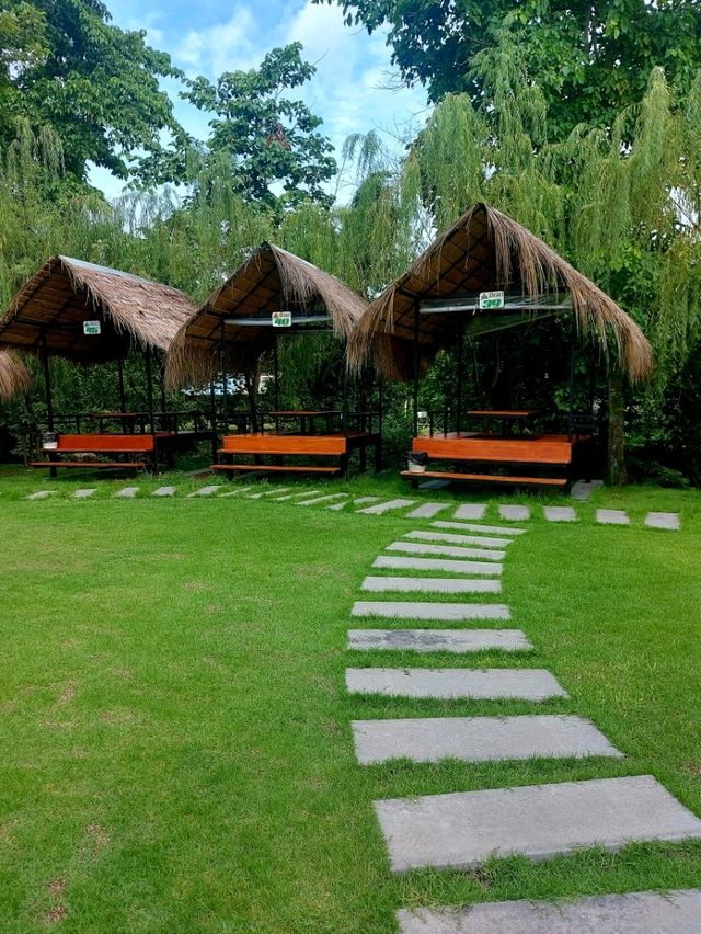 ชมนก Cafe & Restaurant @ นครนายก