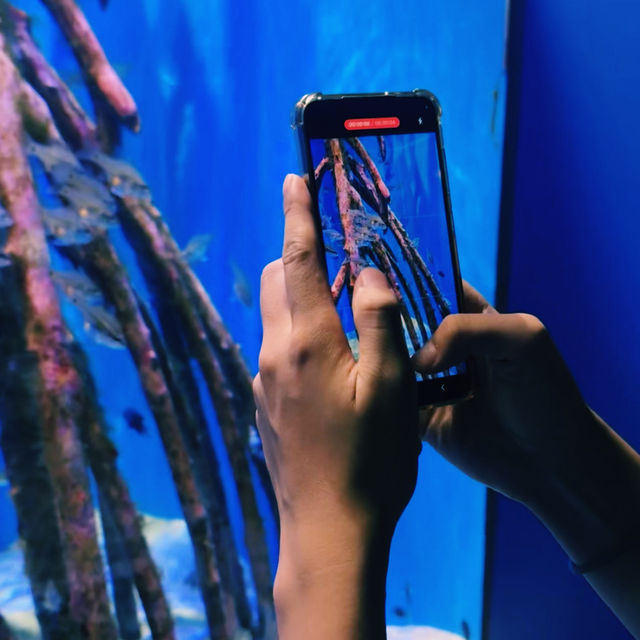 Okinawa Churaumi Aquarium