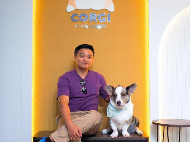 Corgi in the Garden คาเฟ่น้องหมาคอร์กี้
