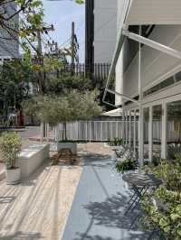 Shelly House Bangkok