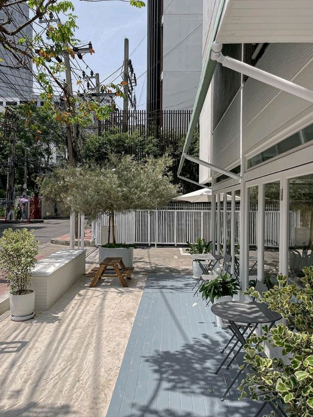 Shelly House Bangkok