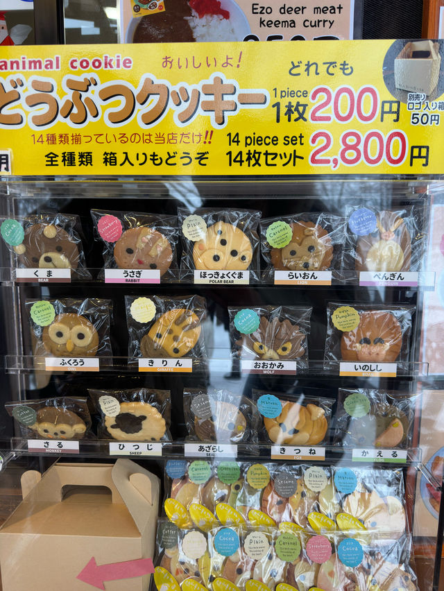 【北海道】旭山動物園：札幌最強！本地人推薦🇯🇵鍾情特色動物造型餅乾！