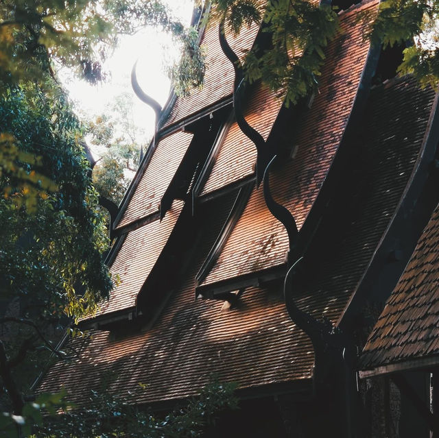พิพิธภัณฑ์บ้านดำ "Black House" เชียงราย 🎨🖌️