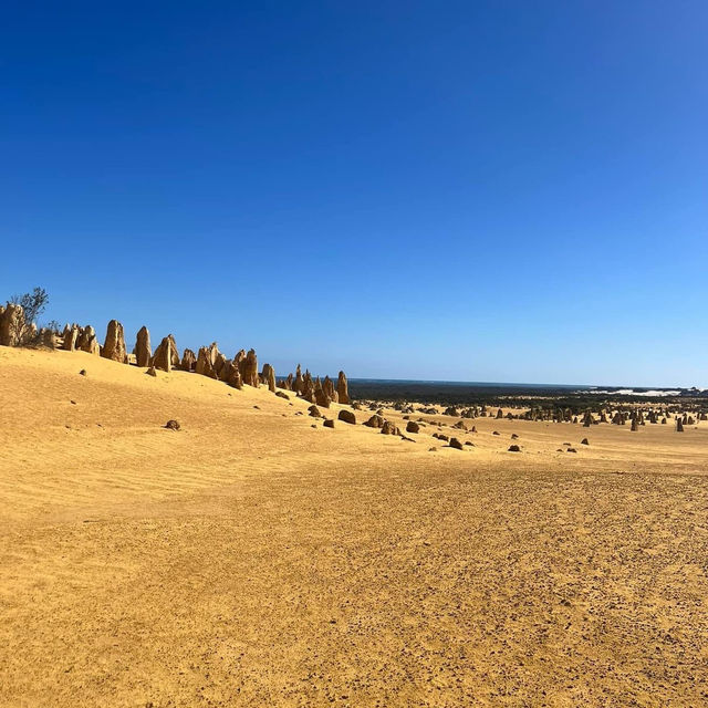Lancelin