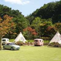 🏕️ 금산에서 글램핑과 수영을 함께 즐기기 좋은 곳💕