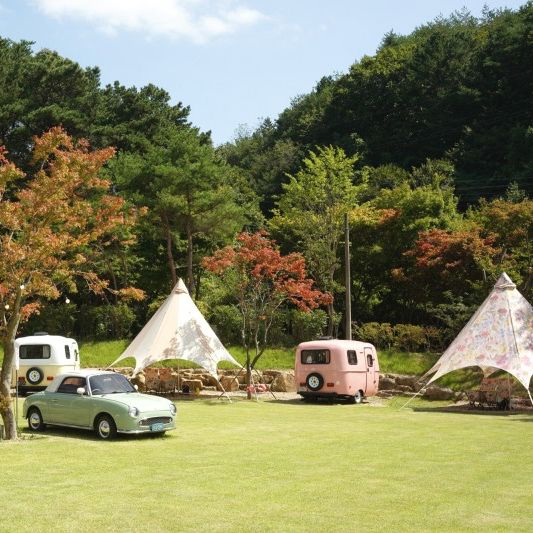 🏕️ 금산에서 글램핑과 수영을 함께 즐기기 좋은 곳💕