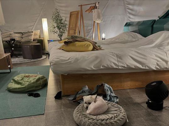 山梨🇯🇵山中湖🐶ペット同伴🉑グランピングキャンプ🏕️