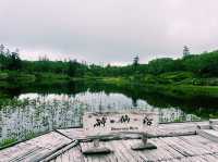 Shinsen-numa Marsh Parking Lot & Observation Deck