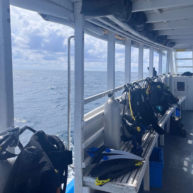 The ACQUA ADVENTURES RASDHOO | DIVING CENTER