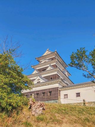 Suzume Passed by Ozu Castle Near Matsuyama