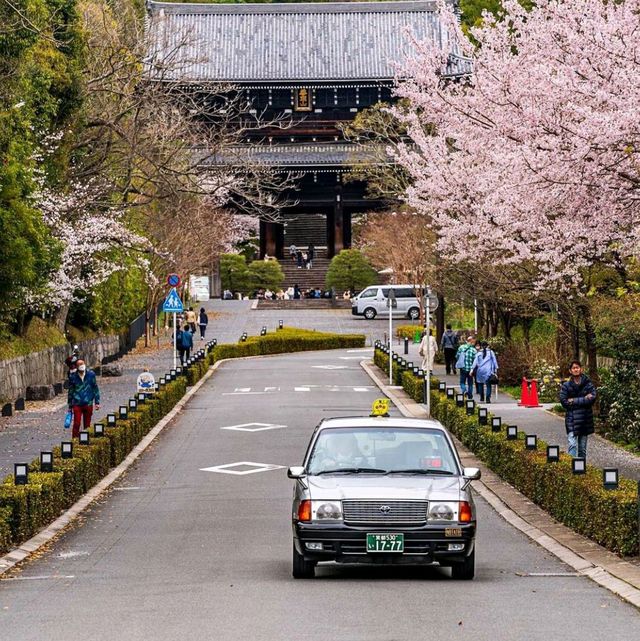 Explore Kyoto City Streets 🚶‍♂️✨