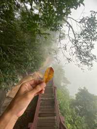 อุทยานแห่งชาติเขาพระวิหาร | ศรีสะเกษ ⛰️🌧️🌳🪨