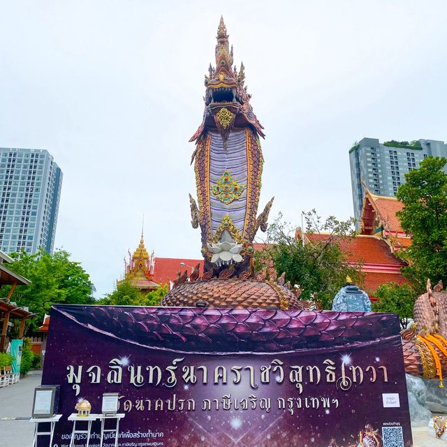 พาไปวัดพามู ฉบับ แก้ดวงชั้นสุดยอด