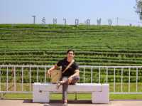 รีวิว ไร่ชาฉุยฟง